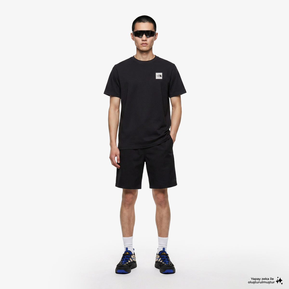 The North Face Evolution Box Half Dome Regular Erkek Siyah T-shirt