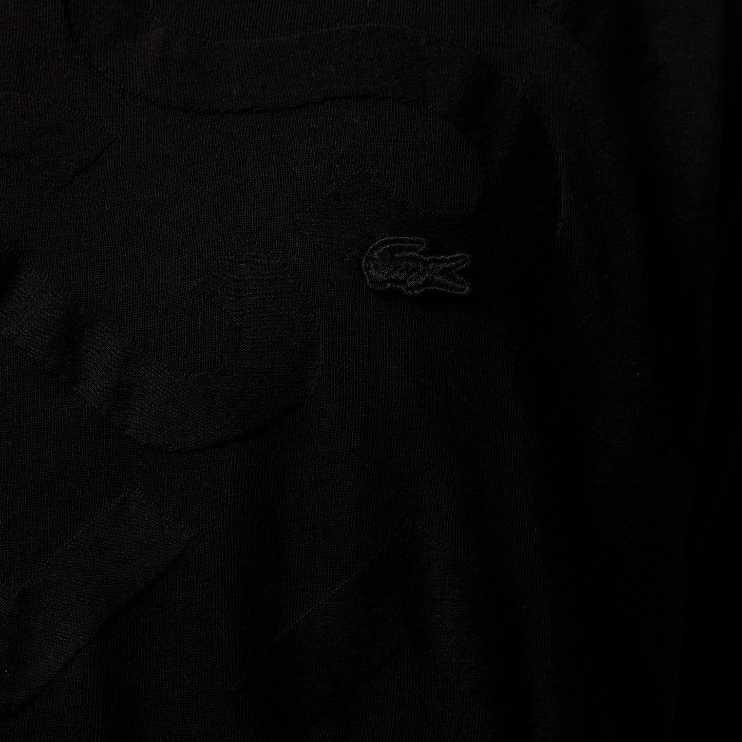 Lacoste Erkek Bisiklet Yaka Desenli Siyah T-shirt