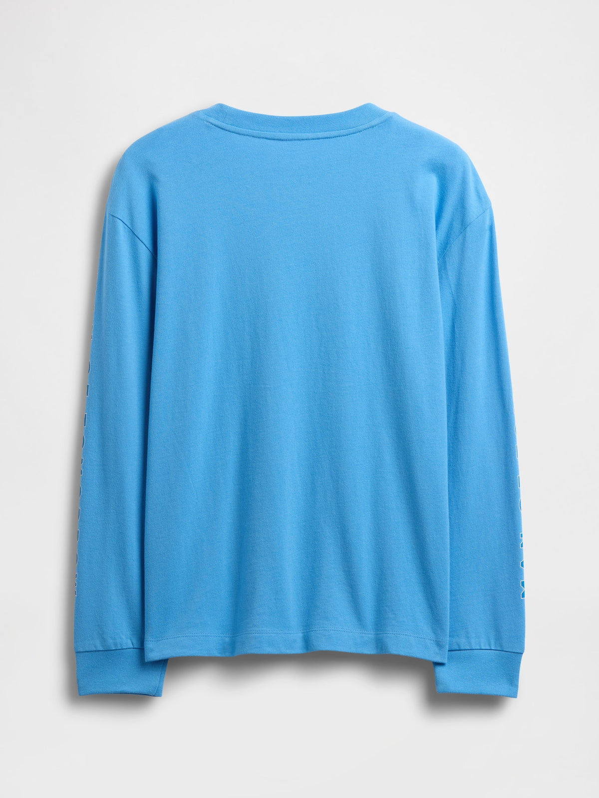 Açık Mavi Dc™ Relaxed Grafik Baskılı T-shirt