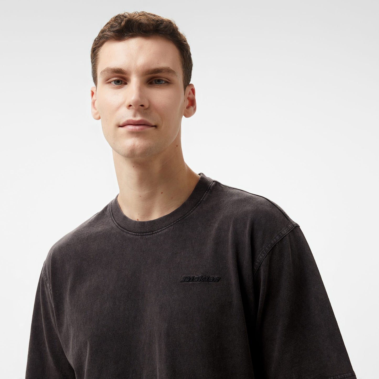 Dickies Plentywood Ss Siyah Erkek T-shirt