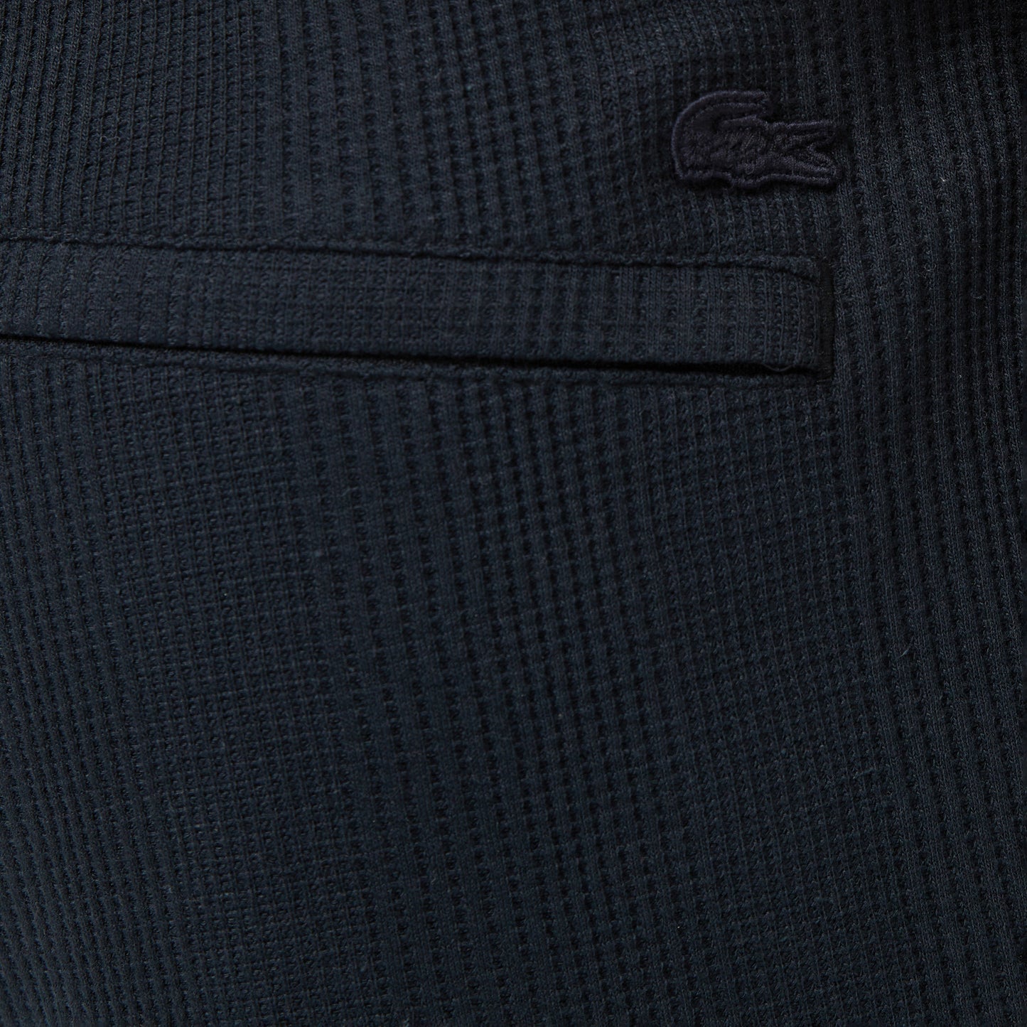 Lacoste Relaxed Fit Erkek Gri Şort