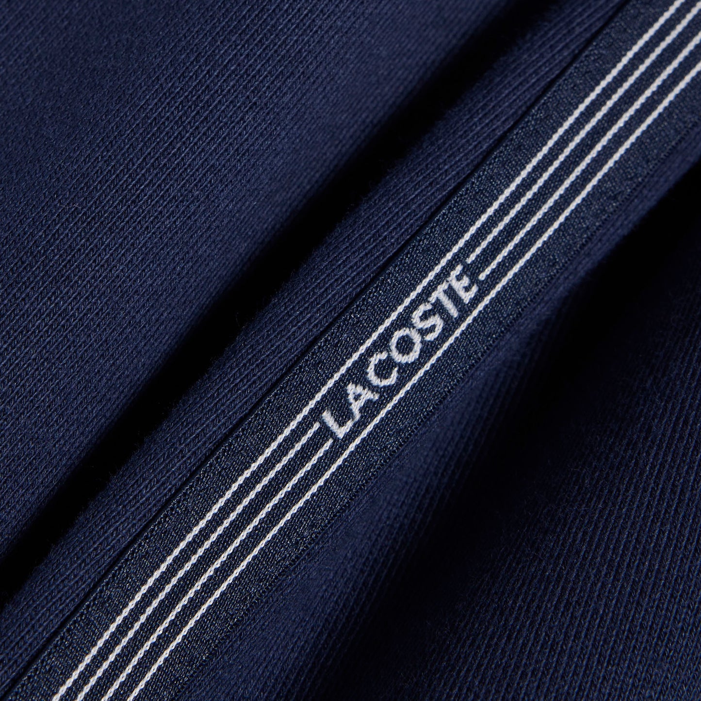 Lacoste Erkek Regular Fit Lacivert Şort
