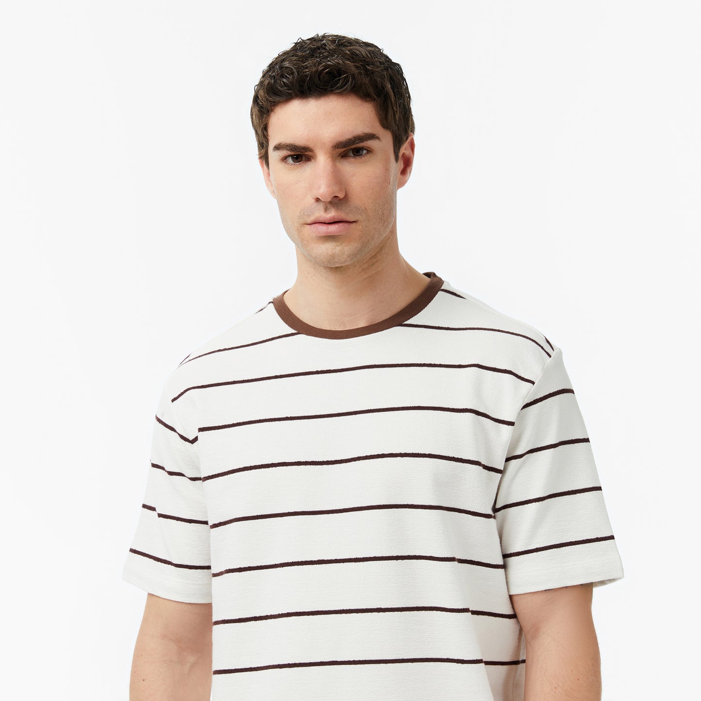 Nautica Erkek Kahverengi Regular Fit Çizgili T-shirt