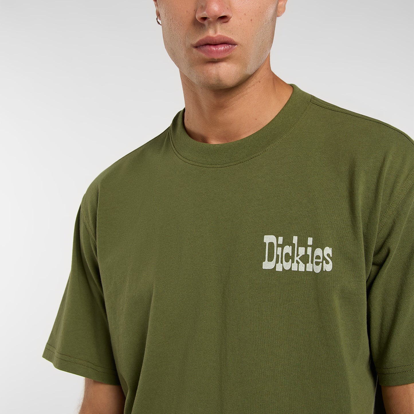 Dickies Vernal Erkek Yeşil T-shirt