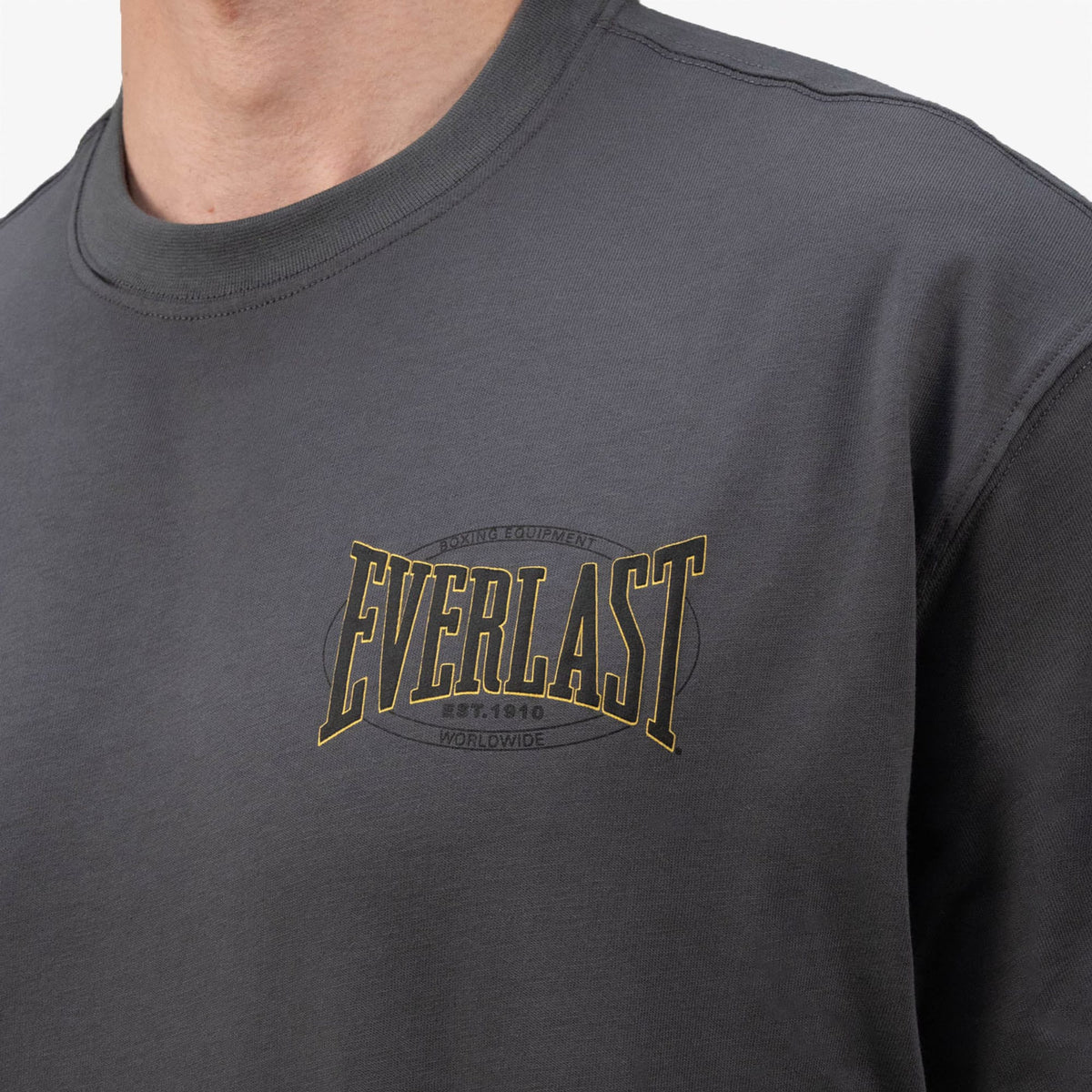 Everlast Authentic Boxing 2.0 Comfort Fit Gri Erkek T-shirt