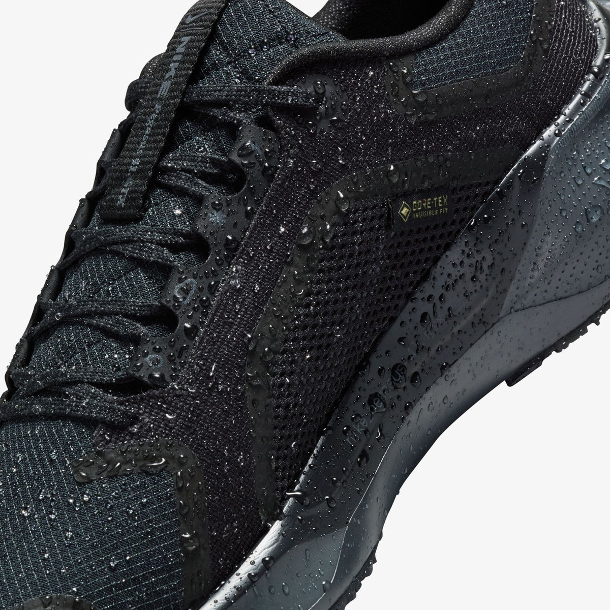Nike Pegasus 41 Gore-tex Kadın Siyah Koşu Ayakkabısı