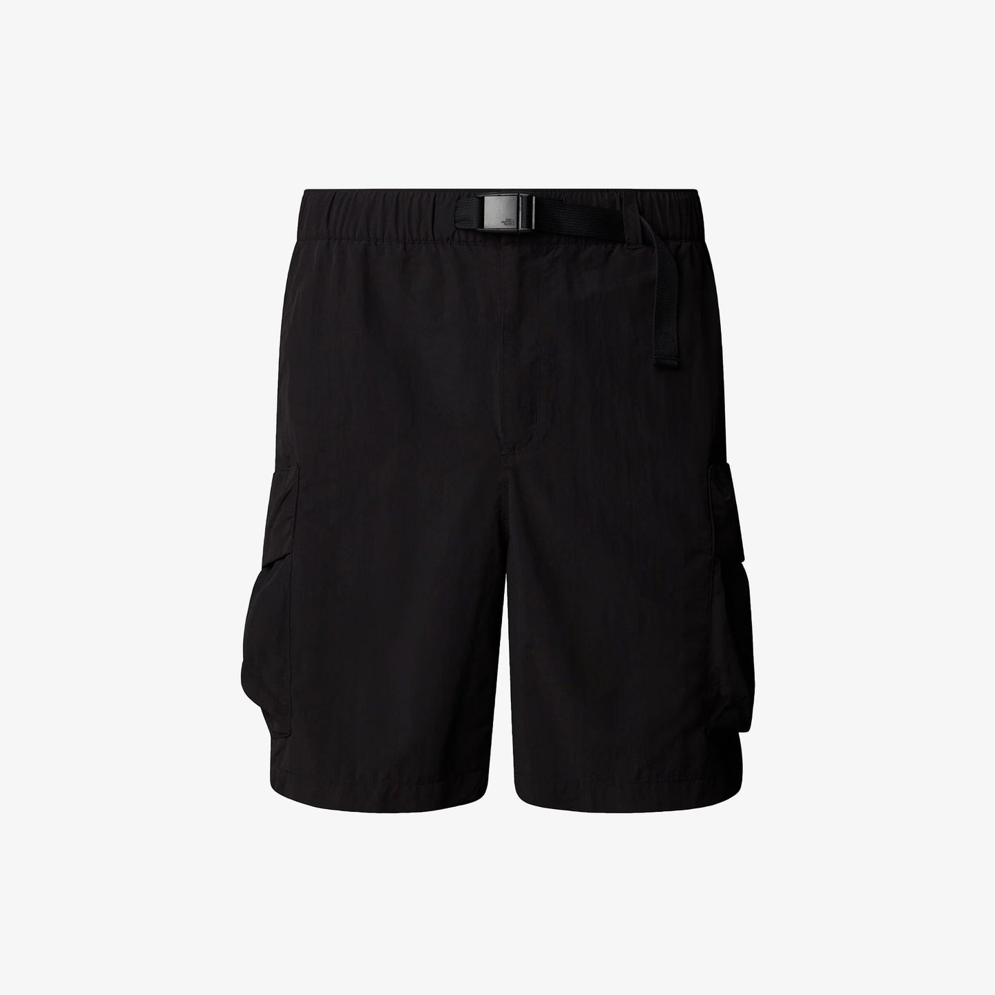 The North Face Cargo Pocket Erkek Siyat Şort