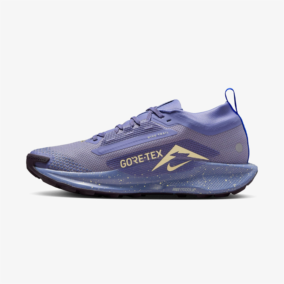 Nike Pegasus Trail 5 Gore-tex Kadın Mavi Koşu Ayakkabısı