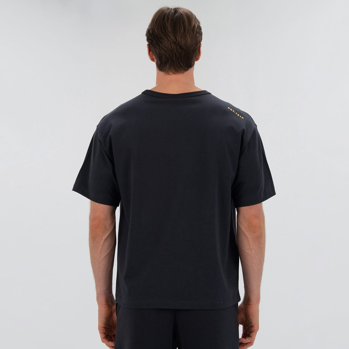Everlast 1910 Classic Comfort Erkek Gri T-shirt