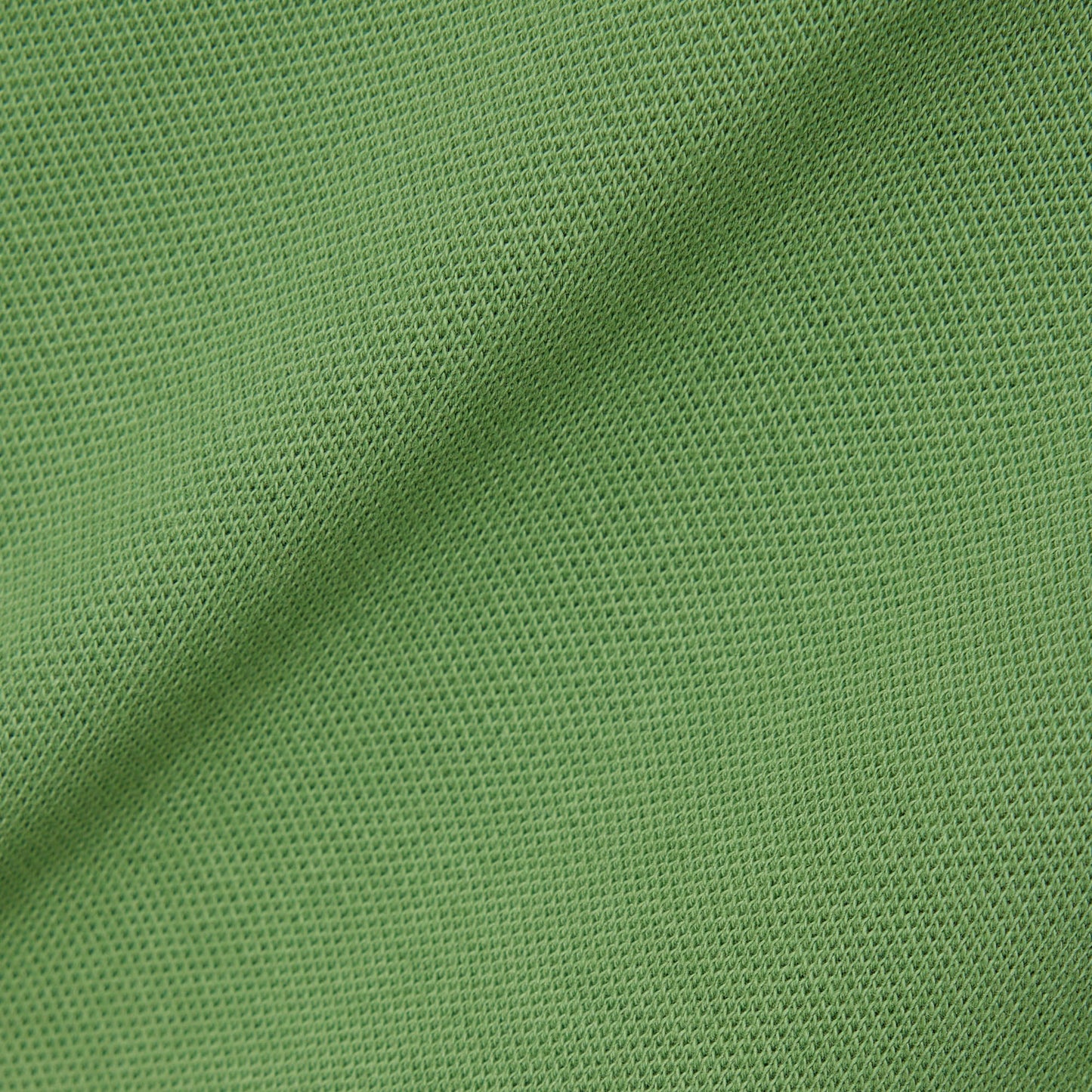 Lacoste Erkek Regular Fit Yeşil Paris Polo