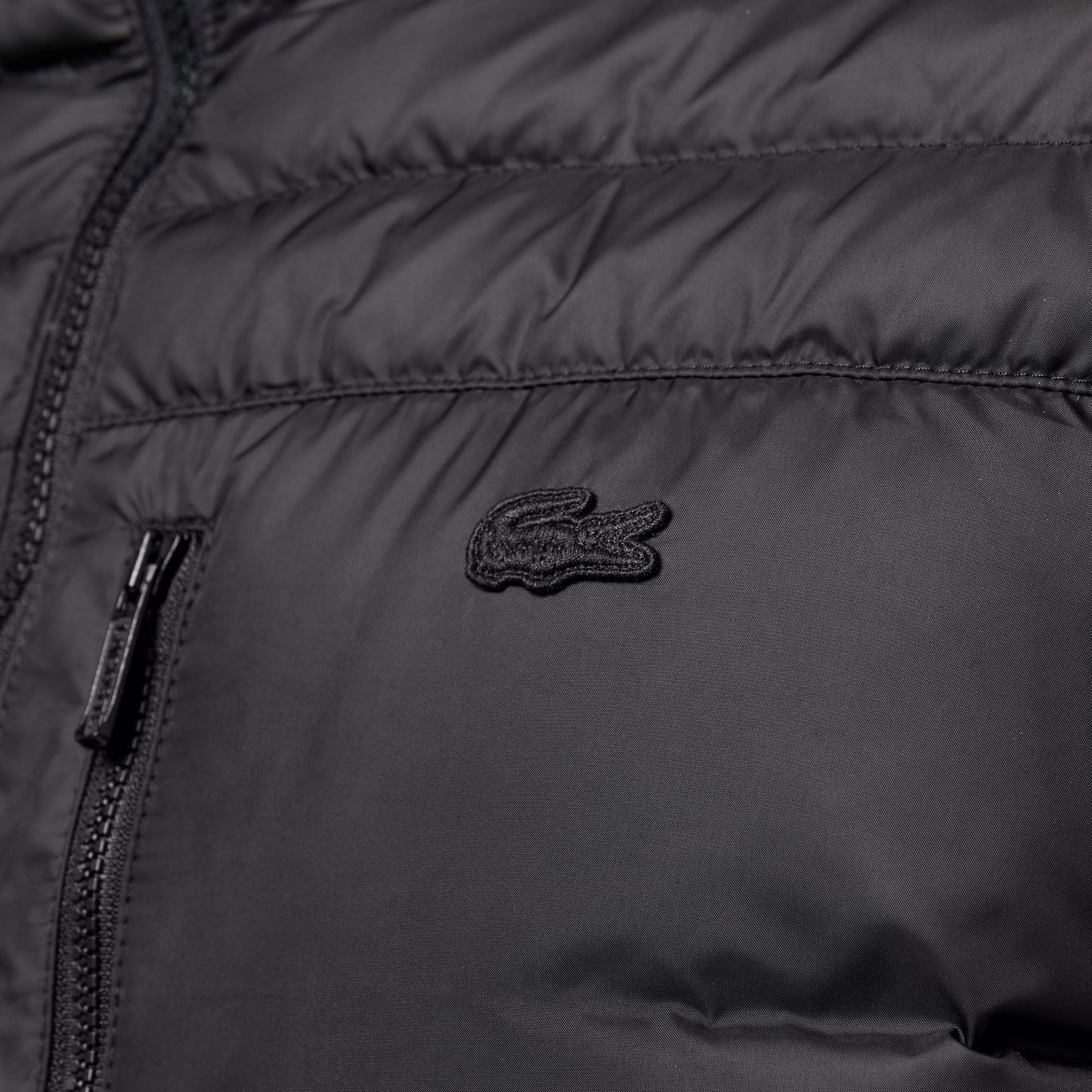 Lacoste Erkek Siyah Mont