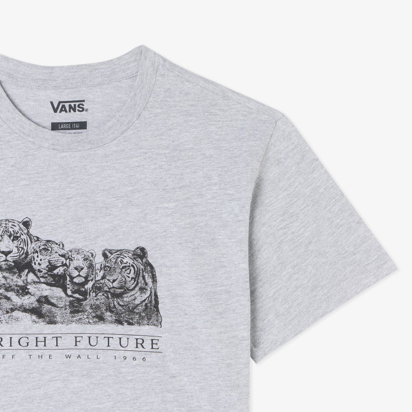 Vans Bright Future Relaxed Crop Ss Çocuk Gri T-shirt