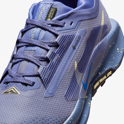 Nike Pegasus Trail 5 Gore-tex Kadın Mavi Koşu Ayakkabısı