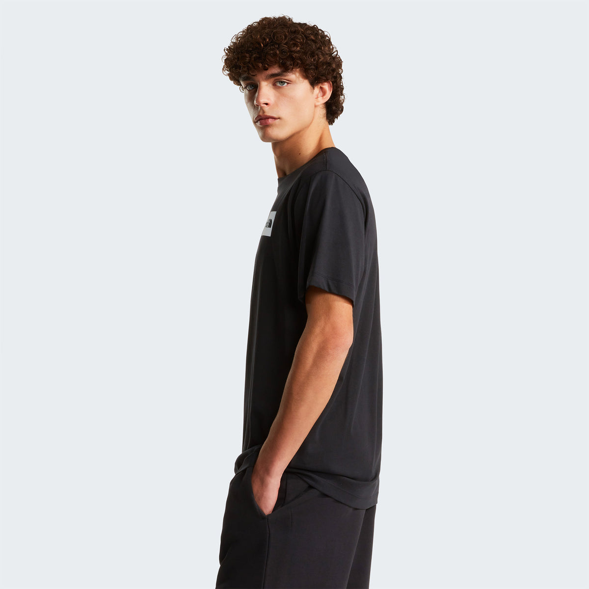 The North Face Evolution Box Half Dome Regular Erkek Siyah T-shirt