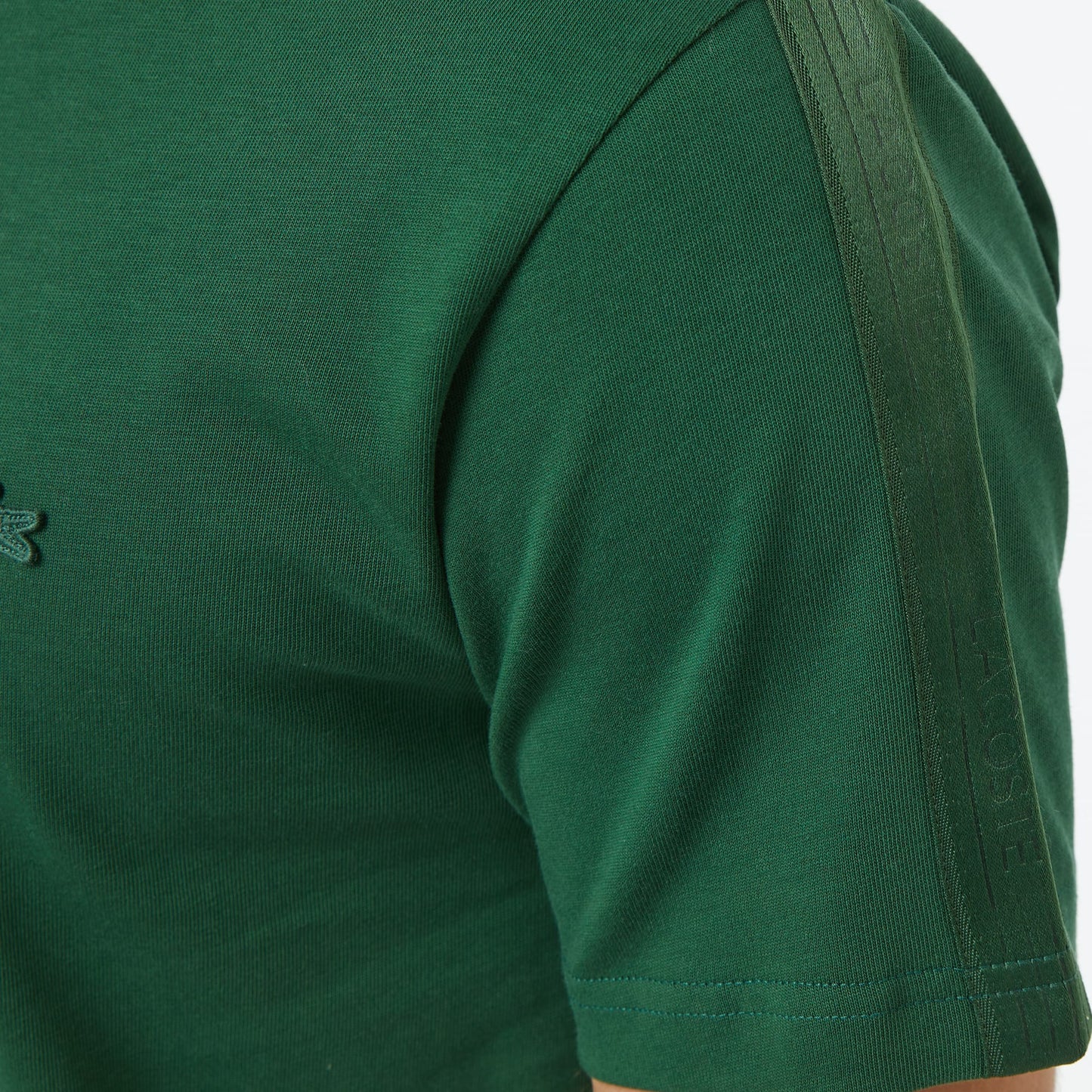 Lacoste Erkek Regular Fit Bisiklet Yaka Koyu Yeşil T-shirt
