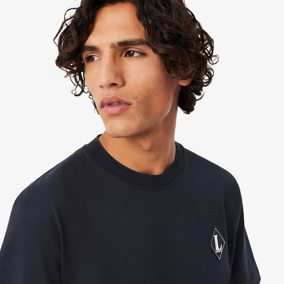Lacoste Classic Fit Erkek Gri T-shirt