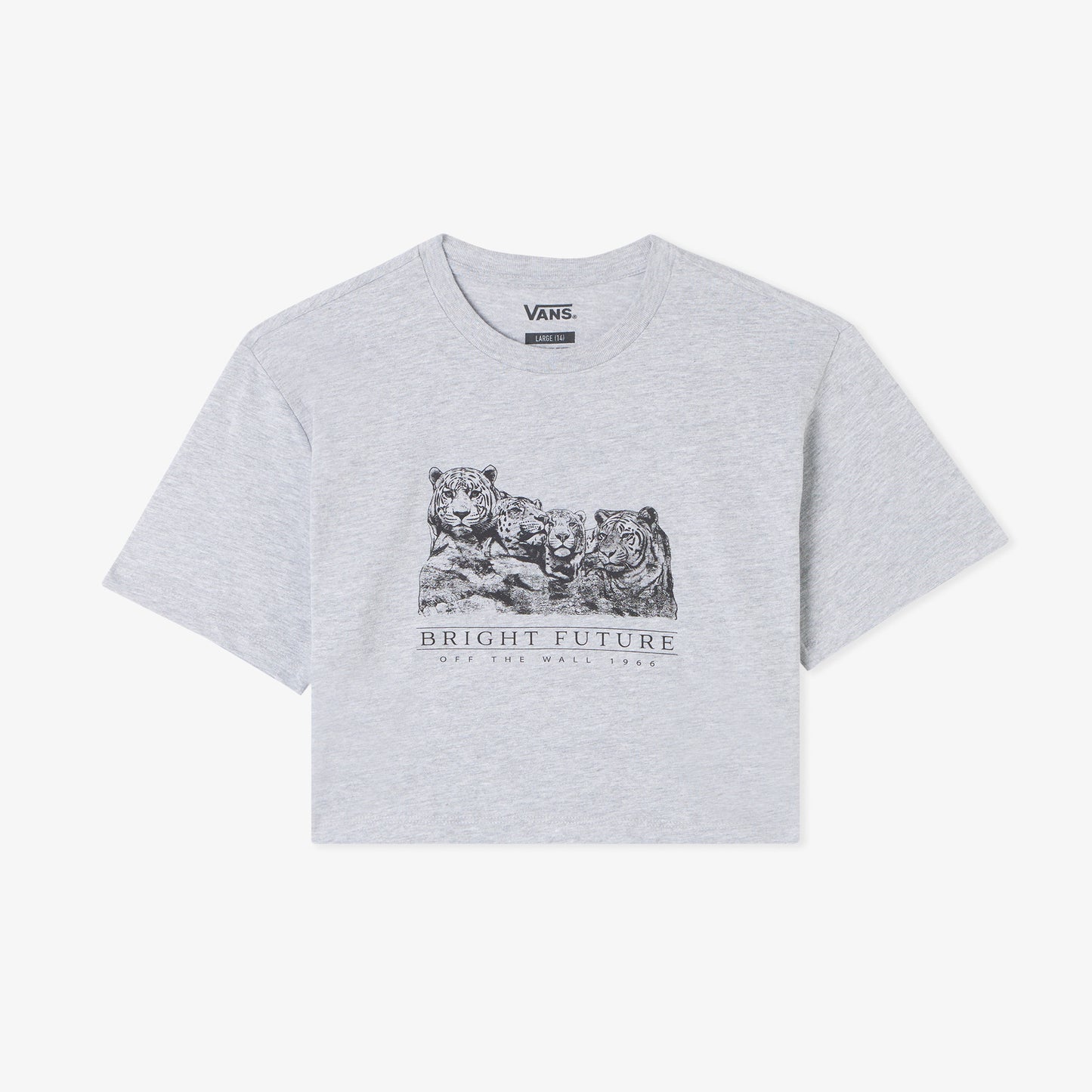Vans Bright Future Relaxed Crop Ss Çocuk Gri T-shirt