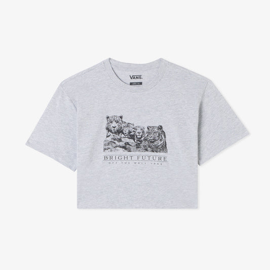 Vans Bright Future Relaxed Crop Ss Çocuk Gri T-shirt