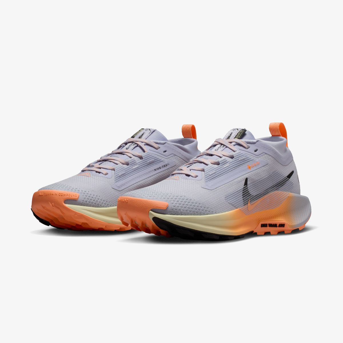 Nike Pegasus Trail 5 Gore-tex Kadın Gri Koşu Ayakkabısı