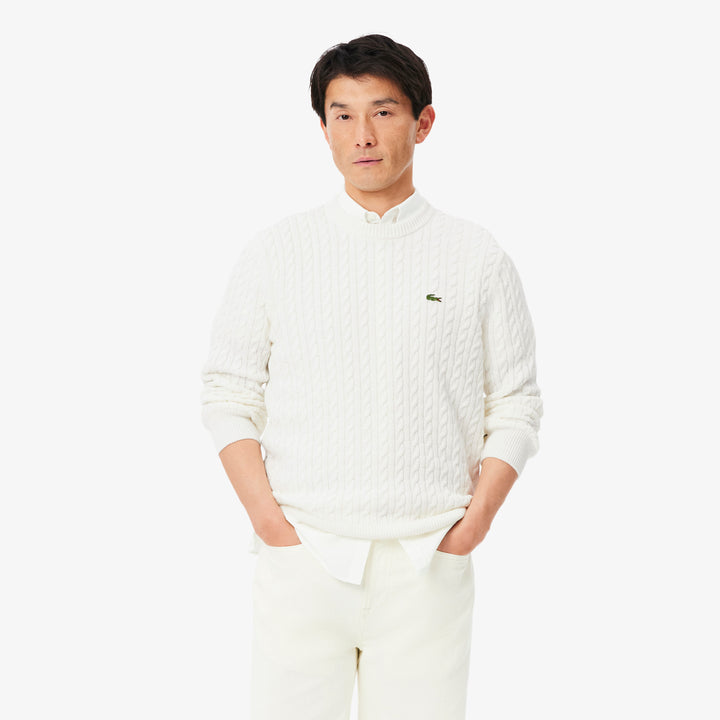 Lacoste Erkek Regular Fit Bisiklet Yaka Krem Kazak