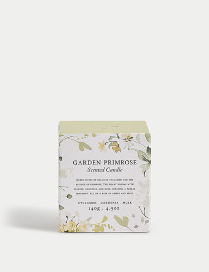 Garden Primrose Kokulu Mum