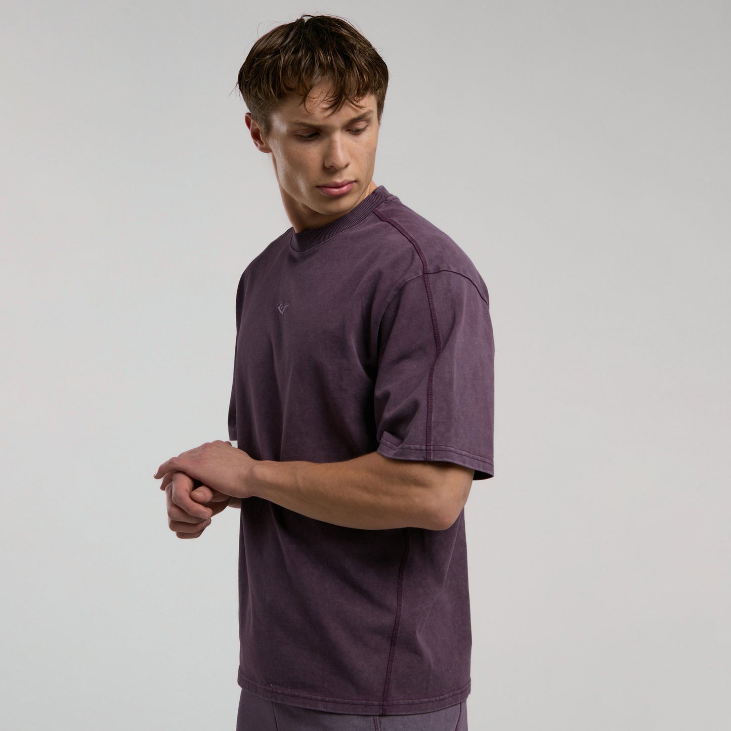 Everlast Bronx 1910 Oversize Erkek Mor T-shirt