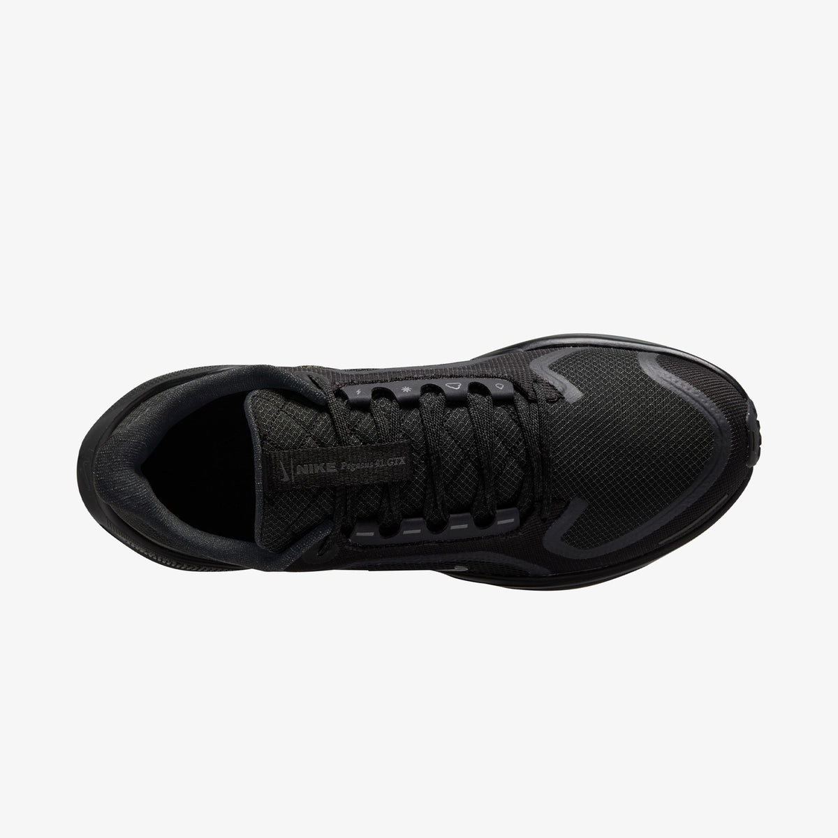 Nike Pegasus 41 Gore-tex Kadın Siyah Koşu Ayakkabısı