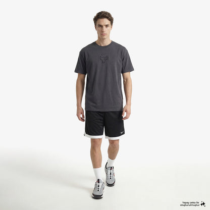 Nike Chicago Bulls Premium Erkek Gri T-shirt