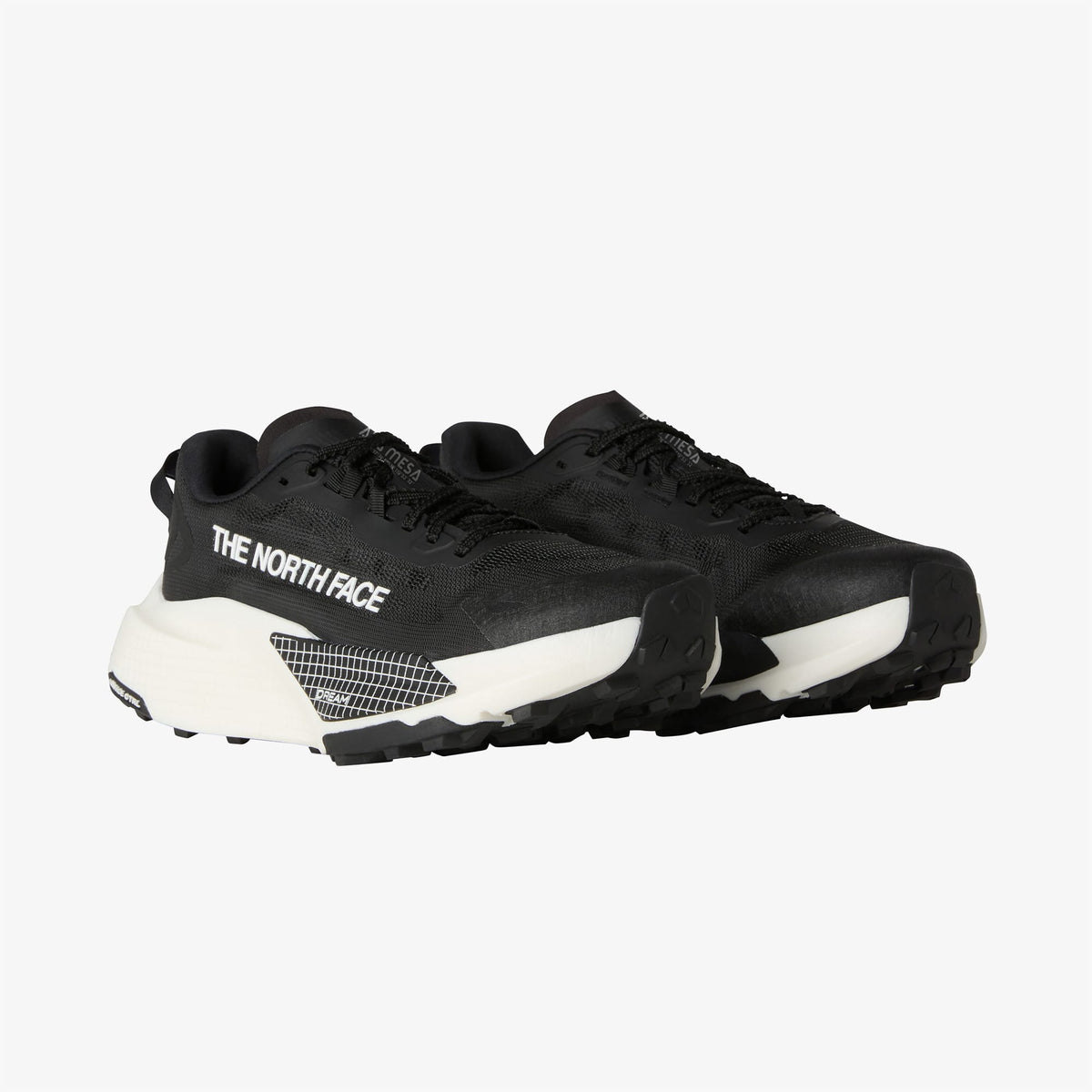 The North Face Altamesa 500 V2 Kadın Siyah Koşu Ayakkabısı