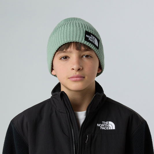 The North Face Logo Box Cuffed Yeşil Bere