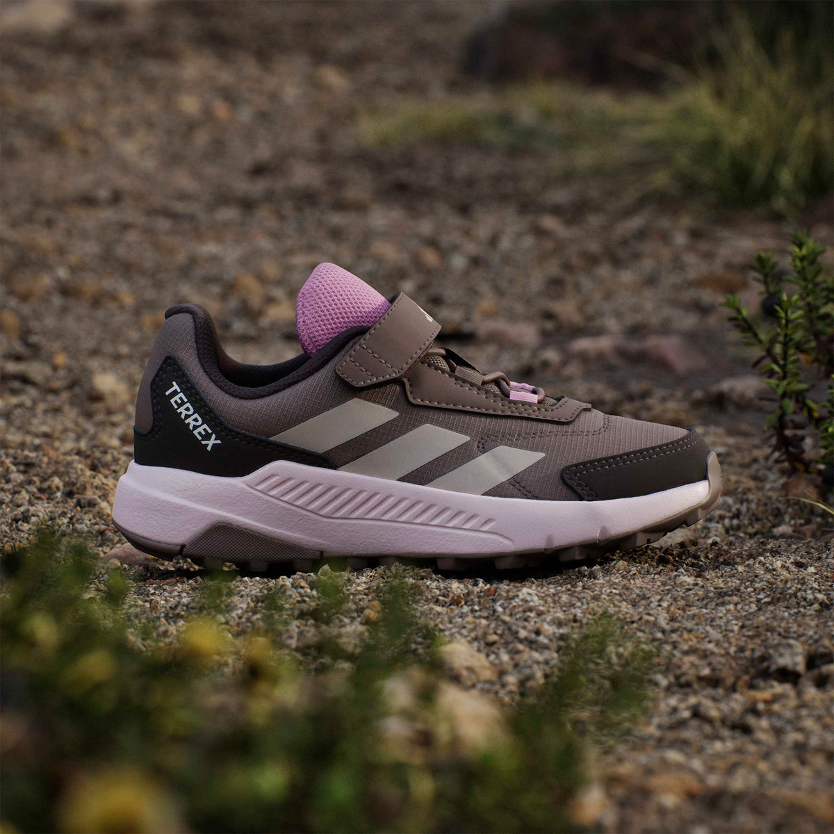 Adidas Terrex Anylander Comfort Çocuk Bej Koşu Ayakkabısı