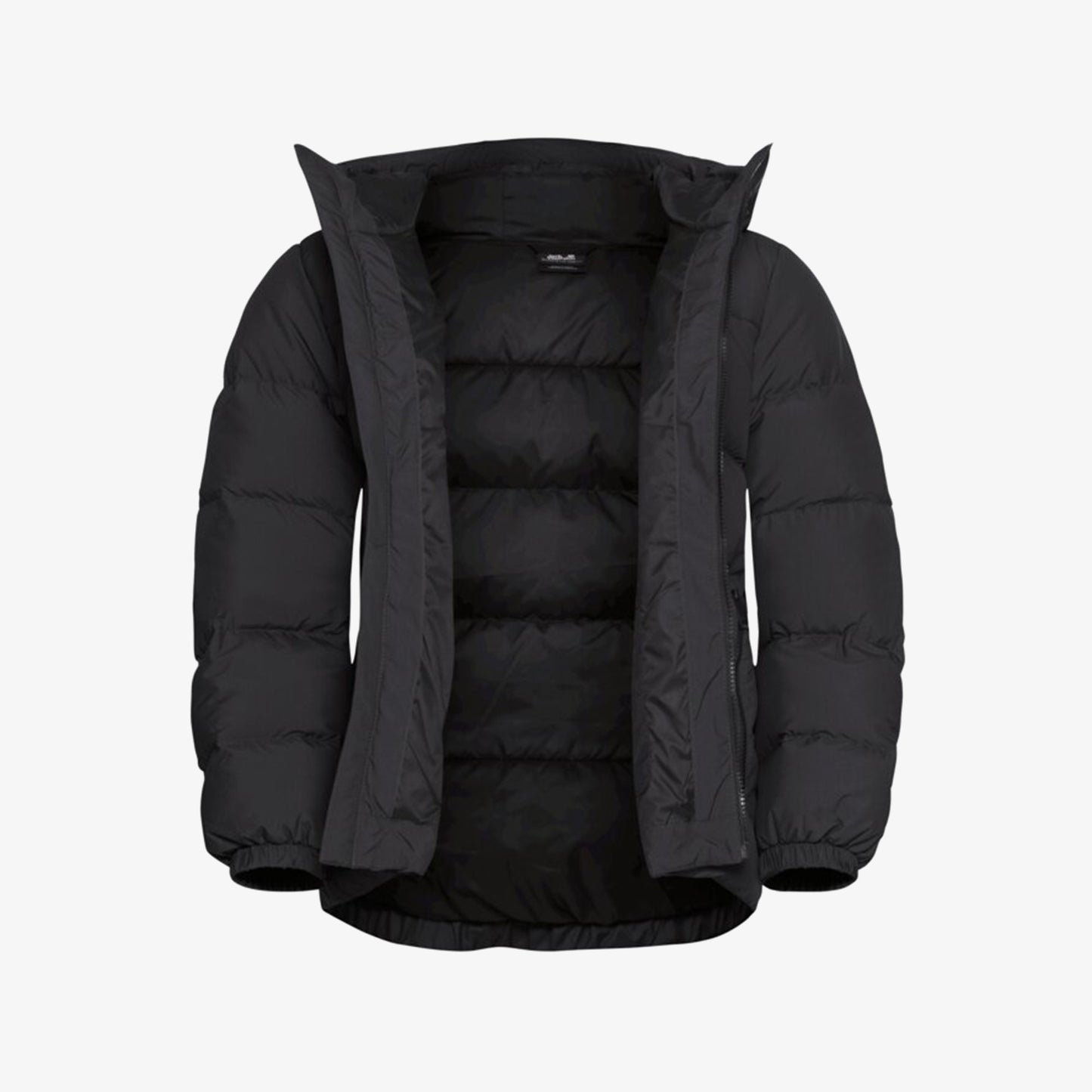 Jack Wolfskin Frozen Palace Kadın Siyah Ceket