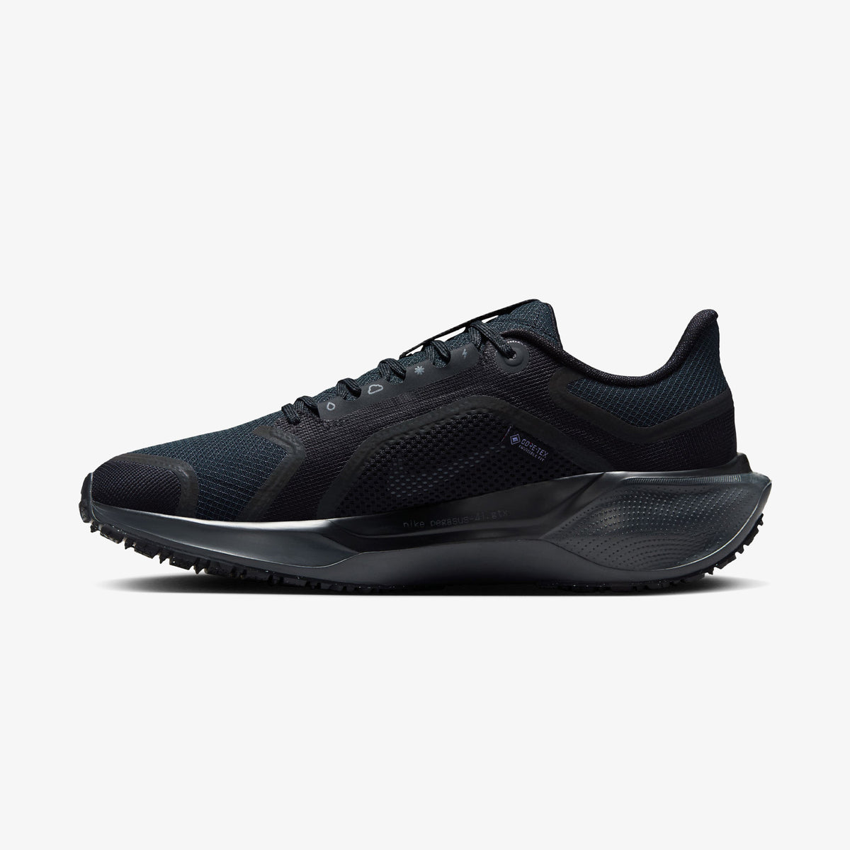 Nike Pegasus 41 Gore-tex Kadın Siyah Koşu Ayakkabısı