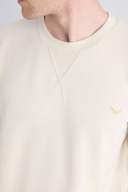 Ds Damat Regular Fit Bej Düz Sweatshirt