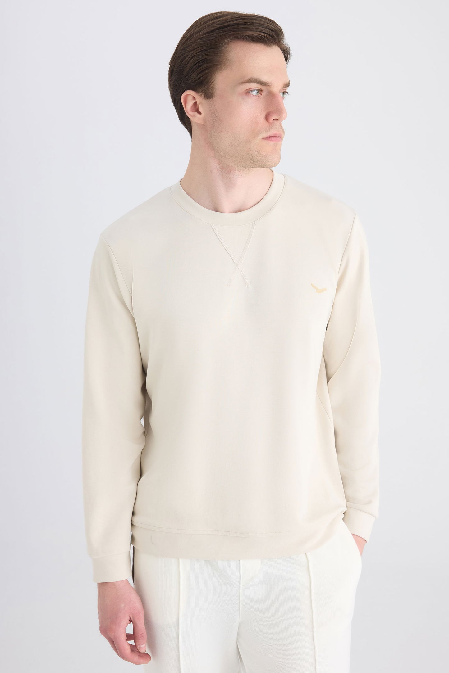 Ds Damat Regular Fit Bej Düz Sweatshirt