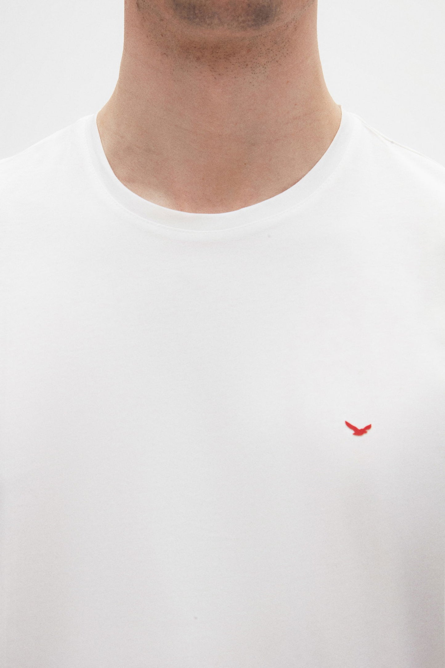 Ds Damat Regular Fit Ekru Düz %100 Pamuk Logo Baskılı T-shirt