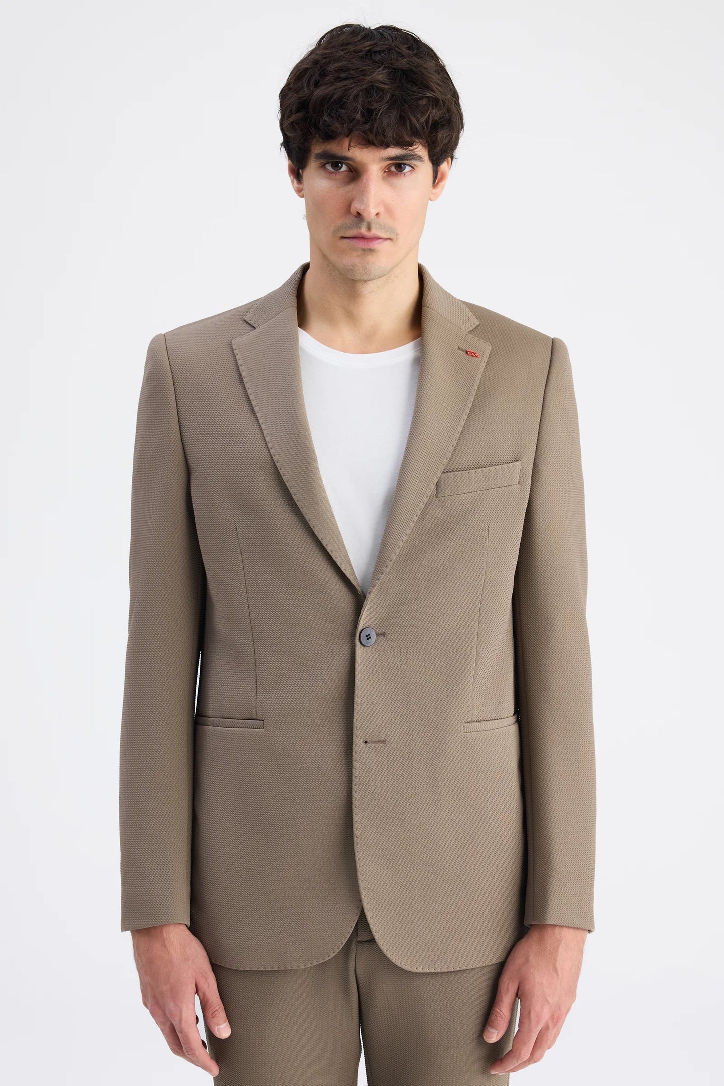 Twn Slim Fit Vizon Armürlü Kumaş Ceket