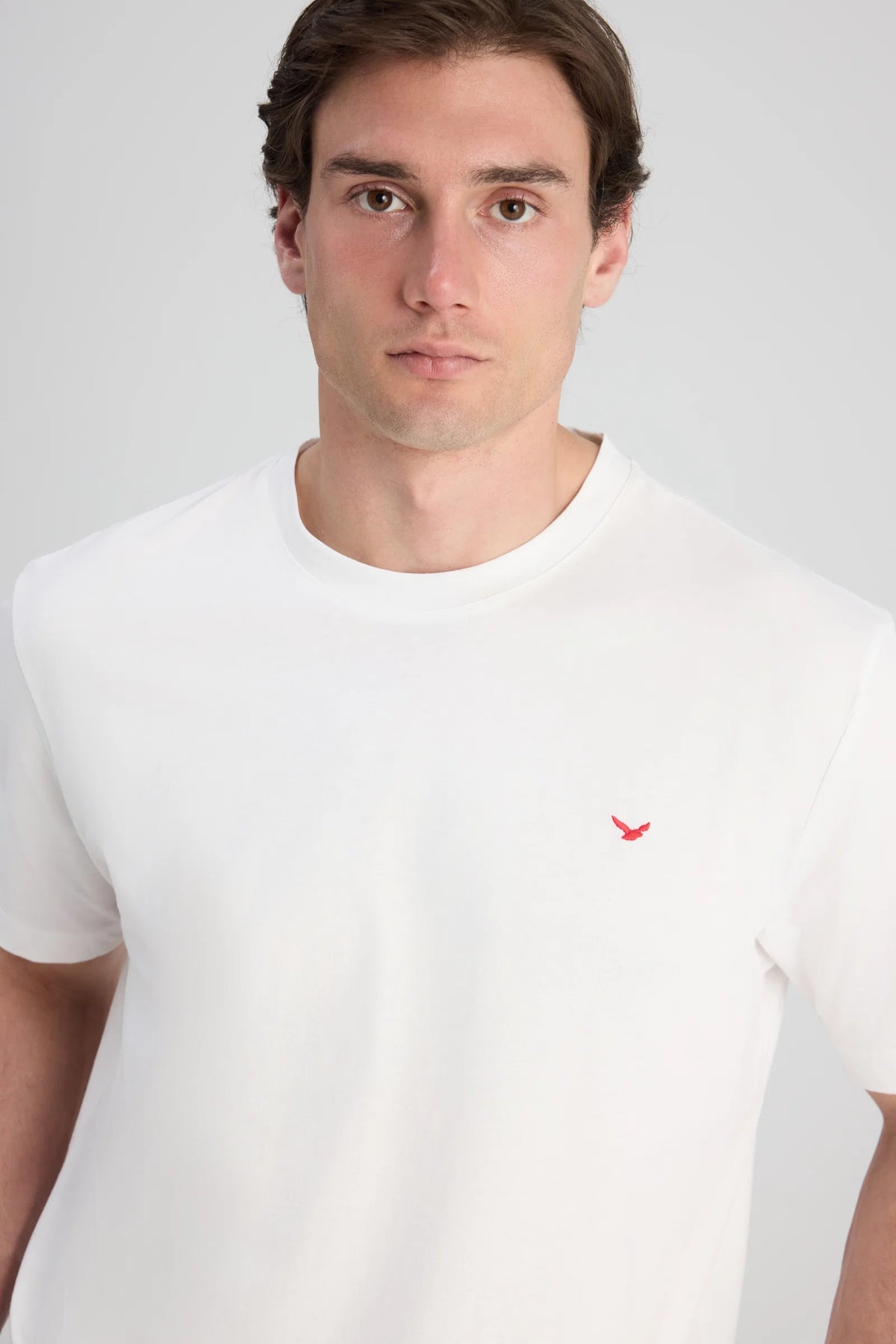 Ds Damat Regular Fit Ekru Düz T-shirt