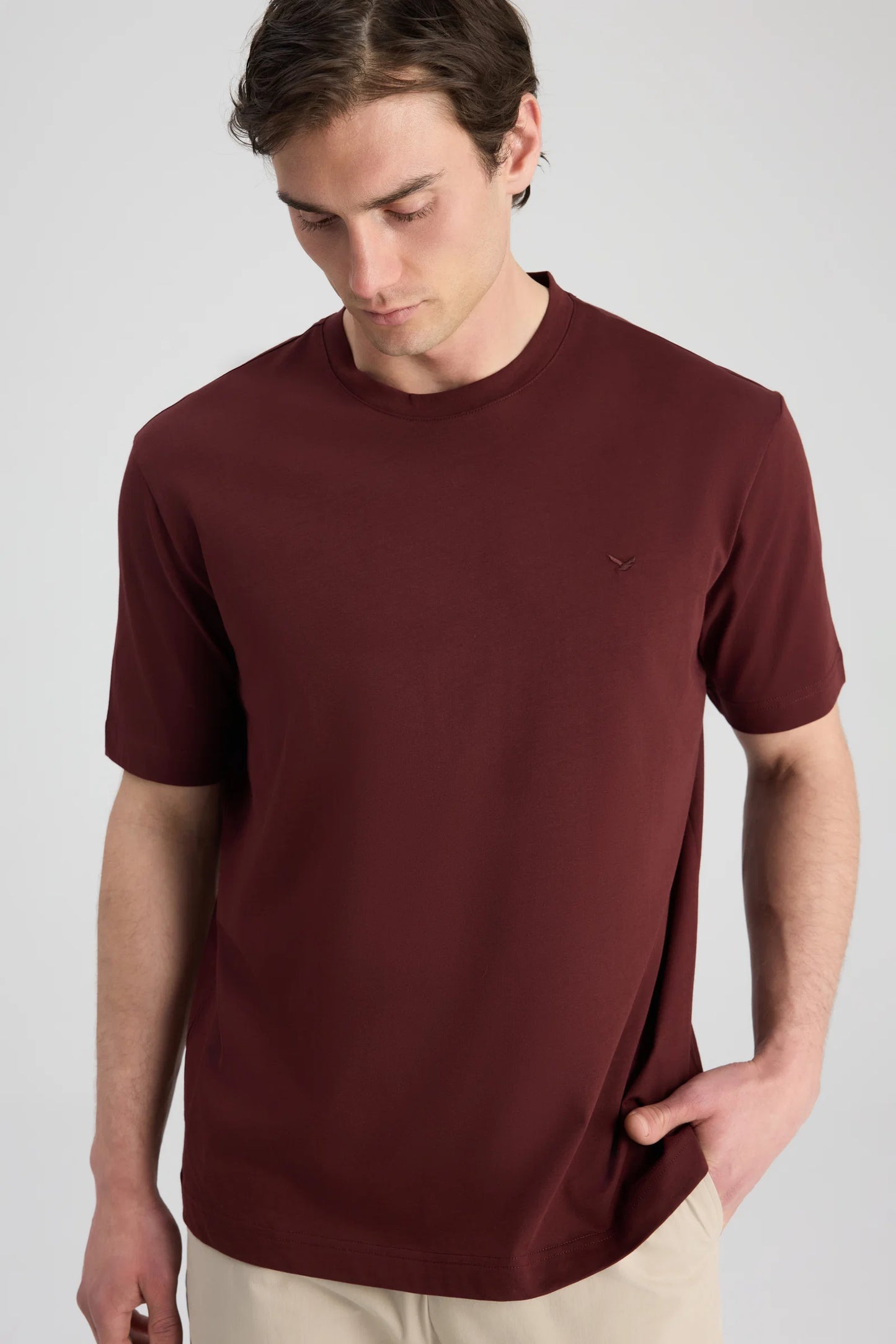 Ds Damat Regular Fit Pas Düz T-shirt