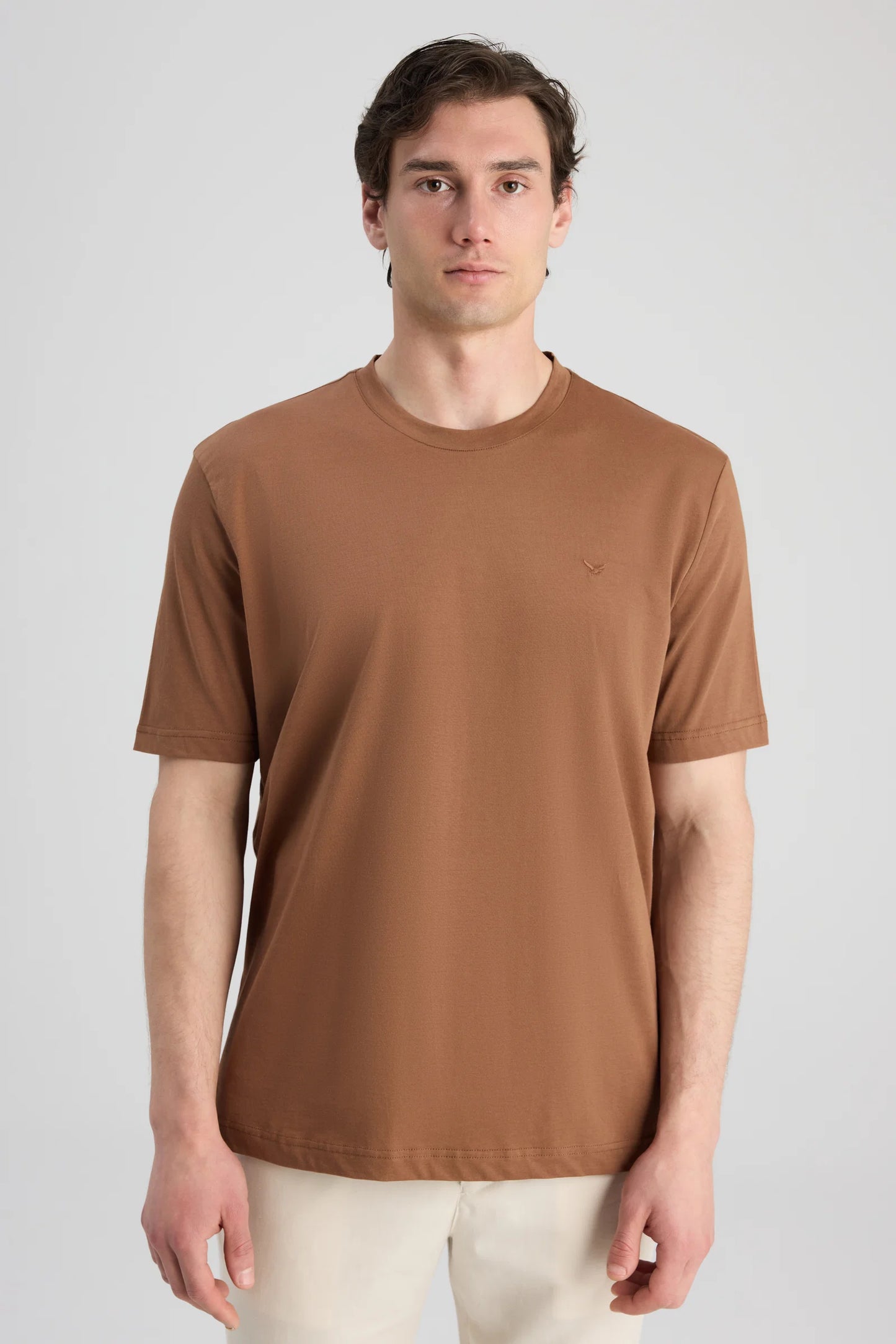 Ds Damat Regular Fit Karamel Düz T-shirt