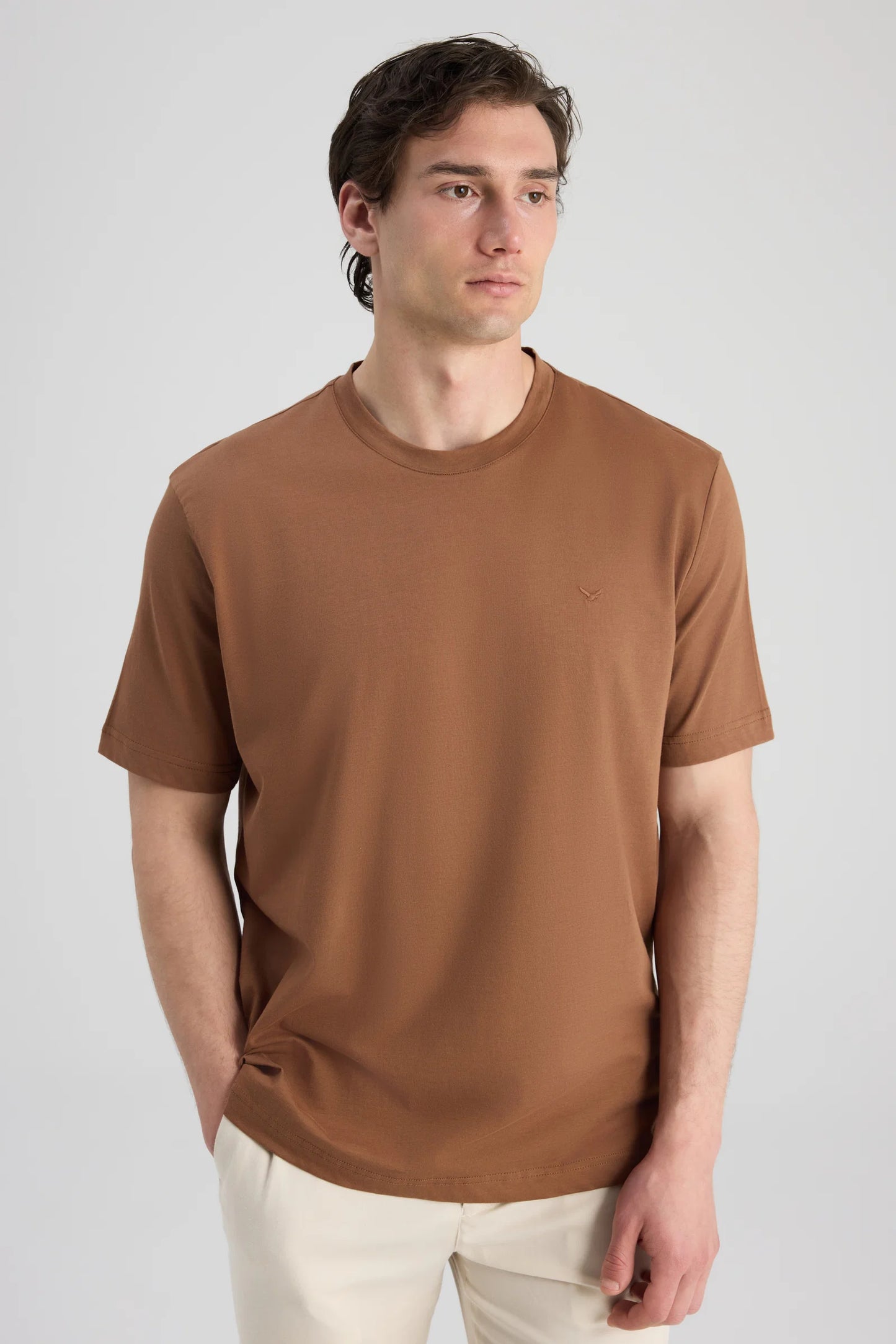 Ds Damat Regular Fit Karamel Düz T-shirt