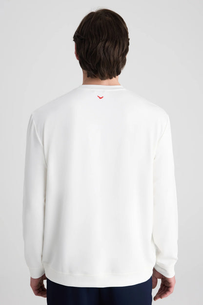Ds Damat Regular Fit Ekru Düz Sweatshirt