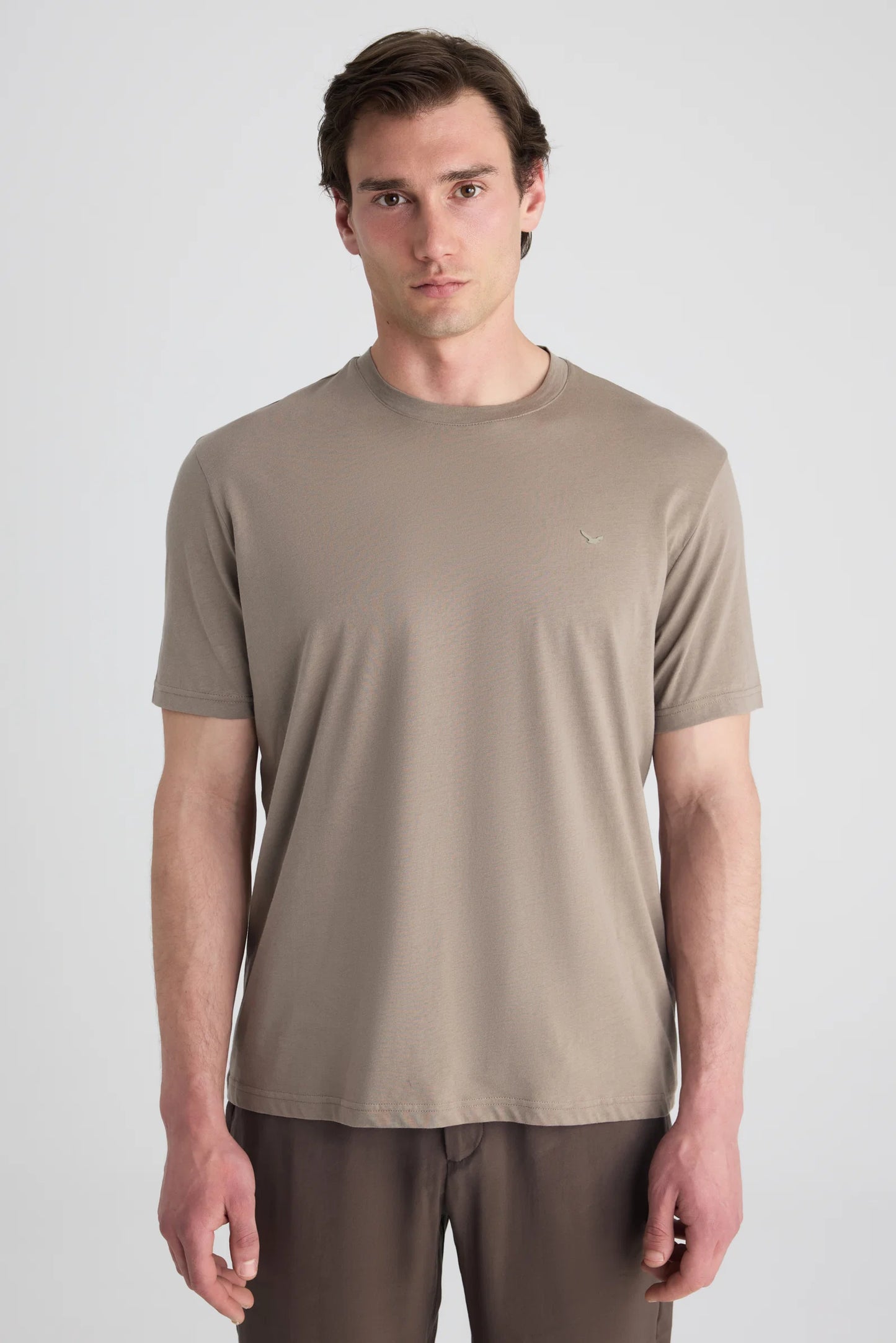 Ds Damat Regular Fit Vizon Düz T-shirt