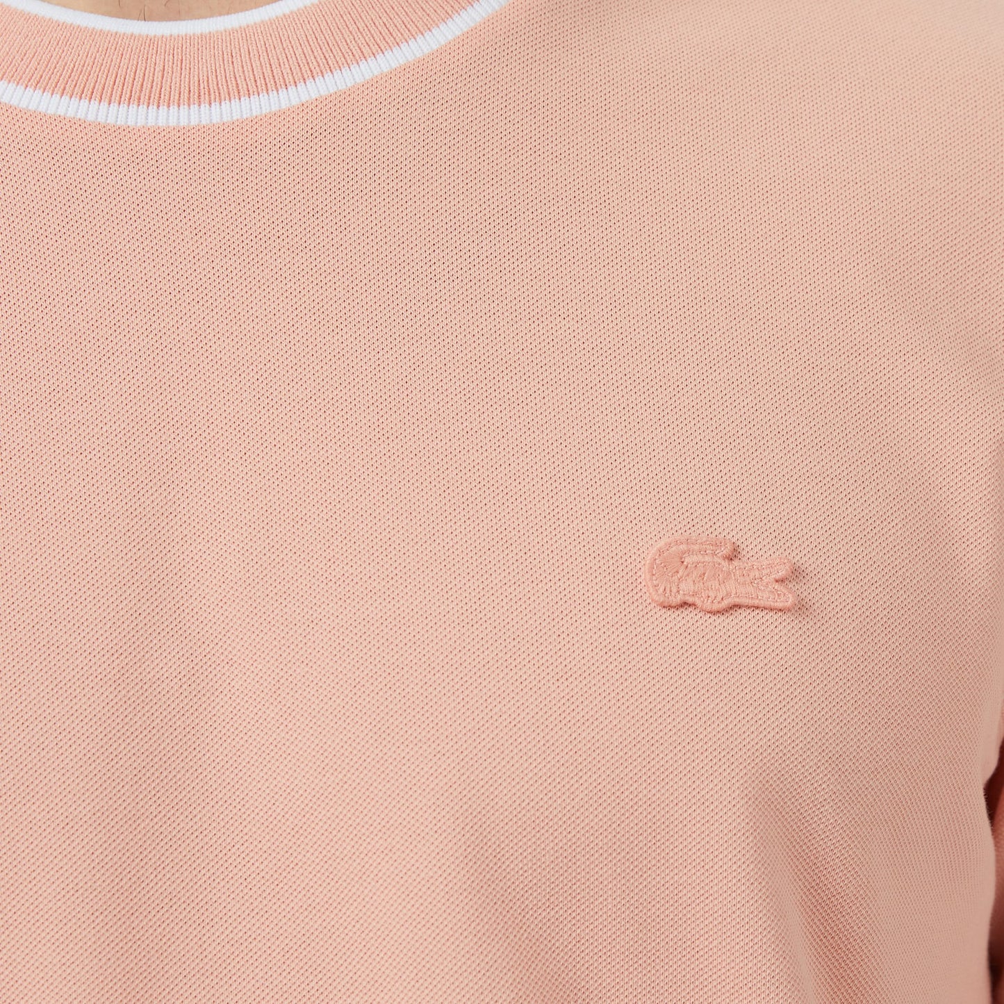 Lacoste Erkek Regular Fit Bisiklet Yaka Pembe T-shirt