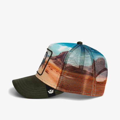 Goorin Bros Scorpion In The Element Unisex Sarı Şapka