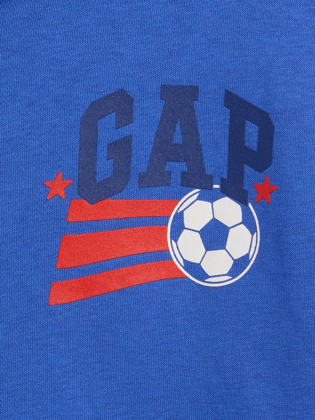 Kobalt Mavisi Relaxed Gap Grafik Fransız Havlu Kumaş Fermuarlı Sweatshirt