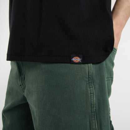 Dickies Burns Erkek Siyah T-shirt