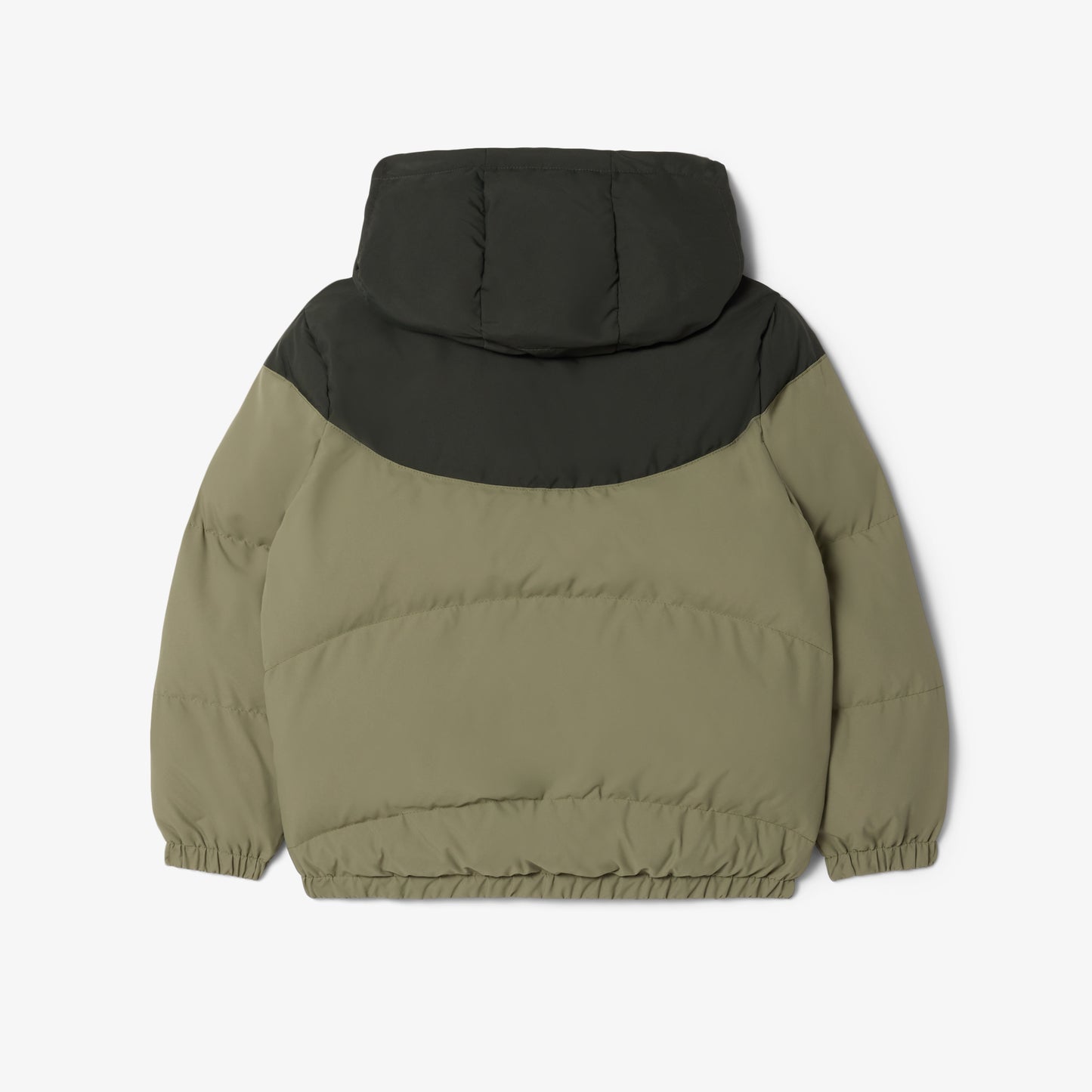Lacoste Çocuk Yeşil Mont