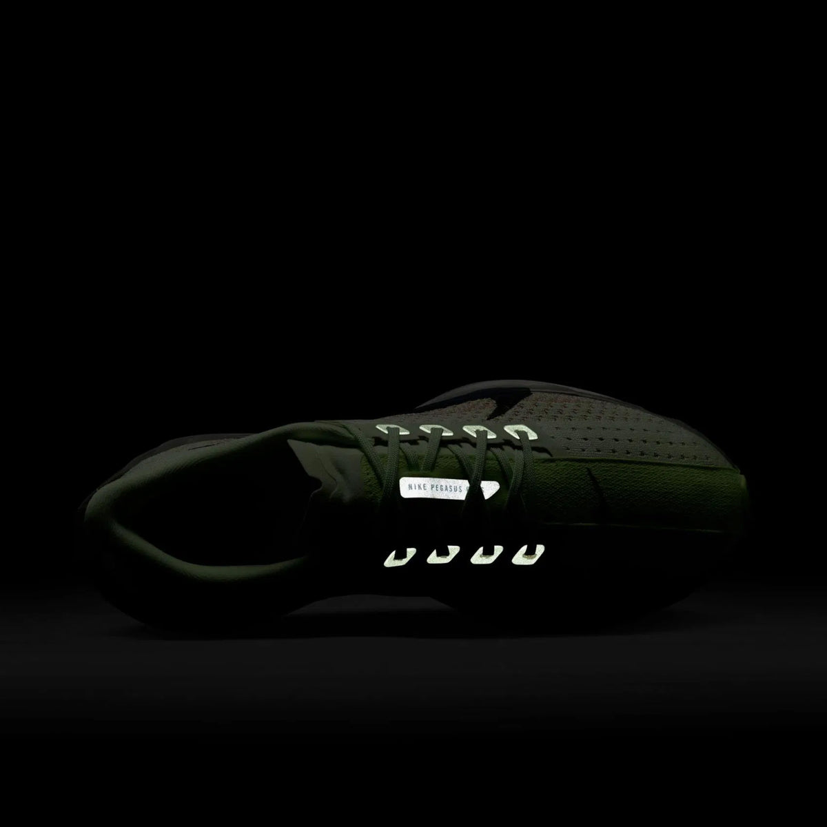 Nike Pegasus Plus Kadın Yeşil Koşu Ayakkabısı