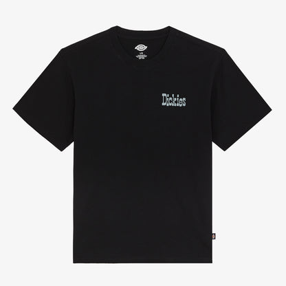 Dickies Vernal Erkek Siyah T-shirt